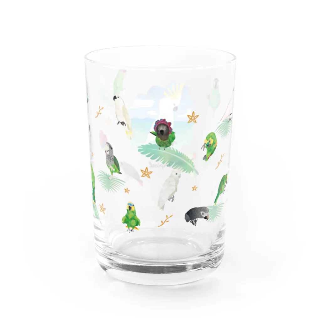 MIKIHO＠トリピカルのオウムグラス Water Glass :right