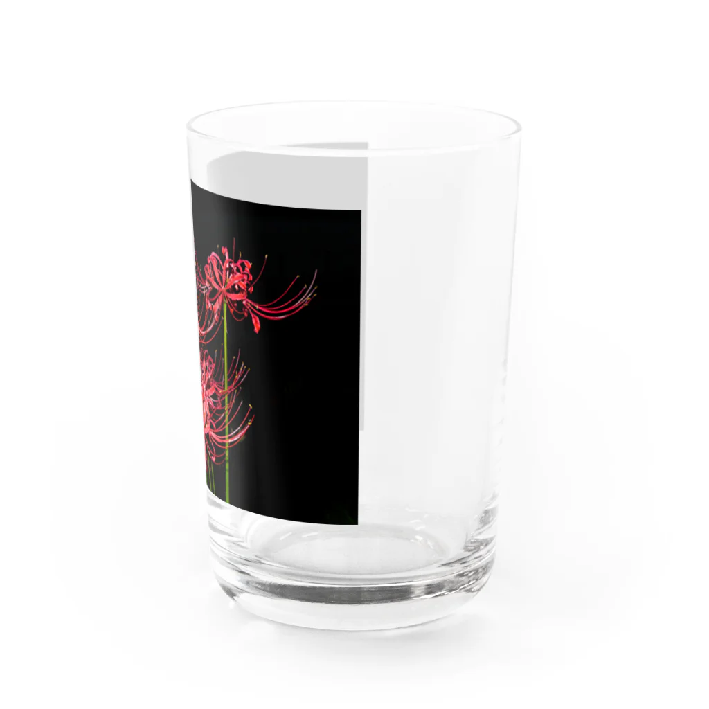 420iloveyouの紅花 Water Glass :right