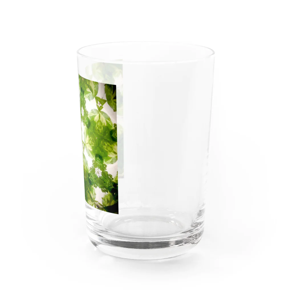 Parfume-weaverのポトス Water Glass :right