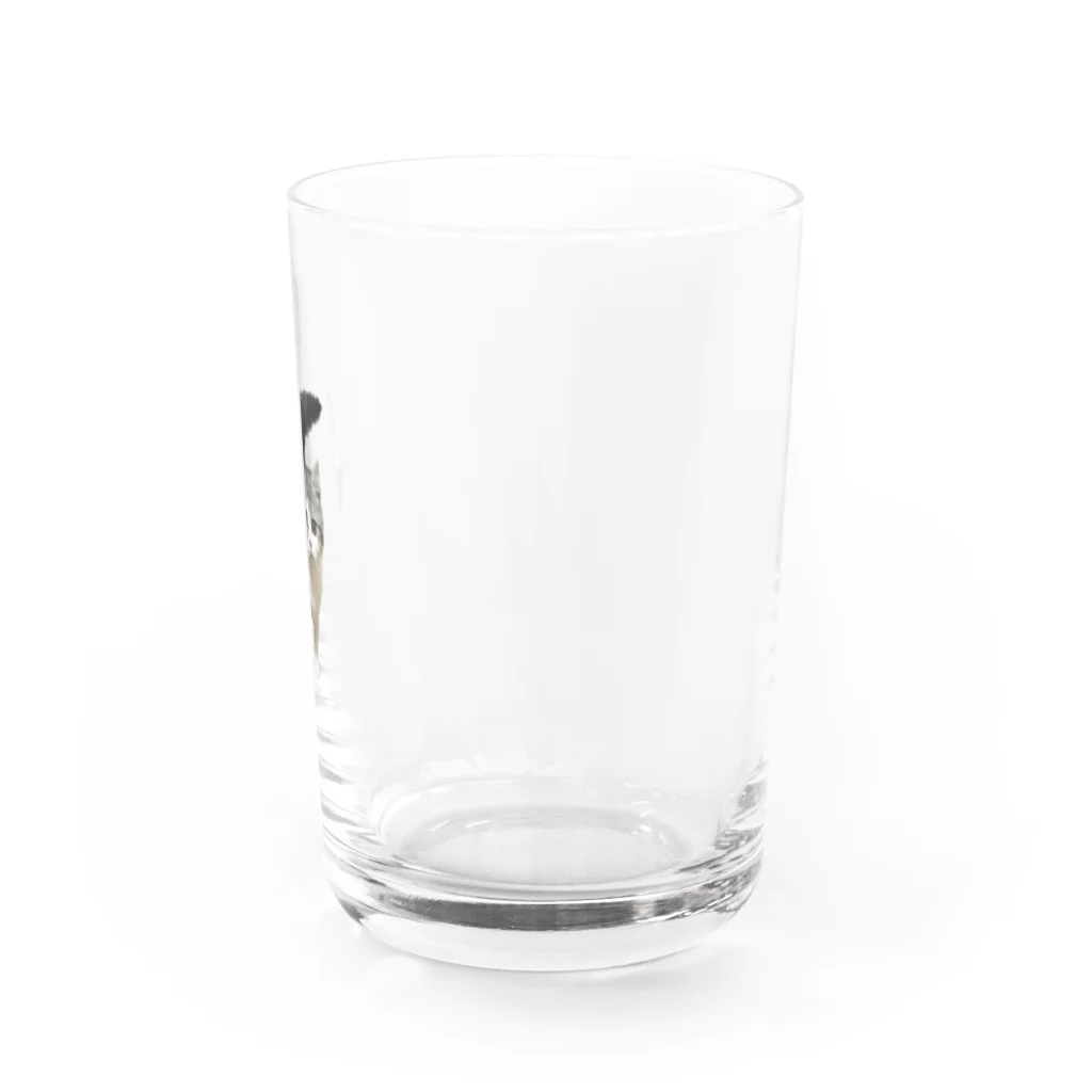 ブティック☆ンボのはじめましてンボです Water Glass :right