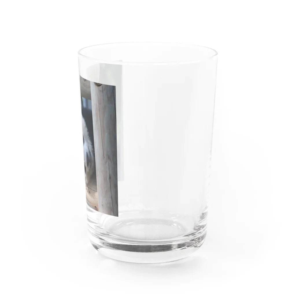 gackeyのひょっこり PANDA Water Glass :right