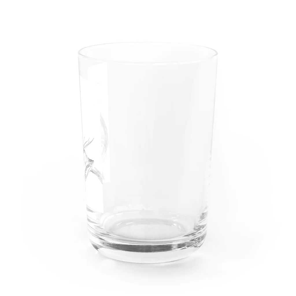 日山　拓志のさかな Water Glass :right