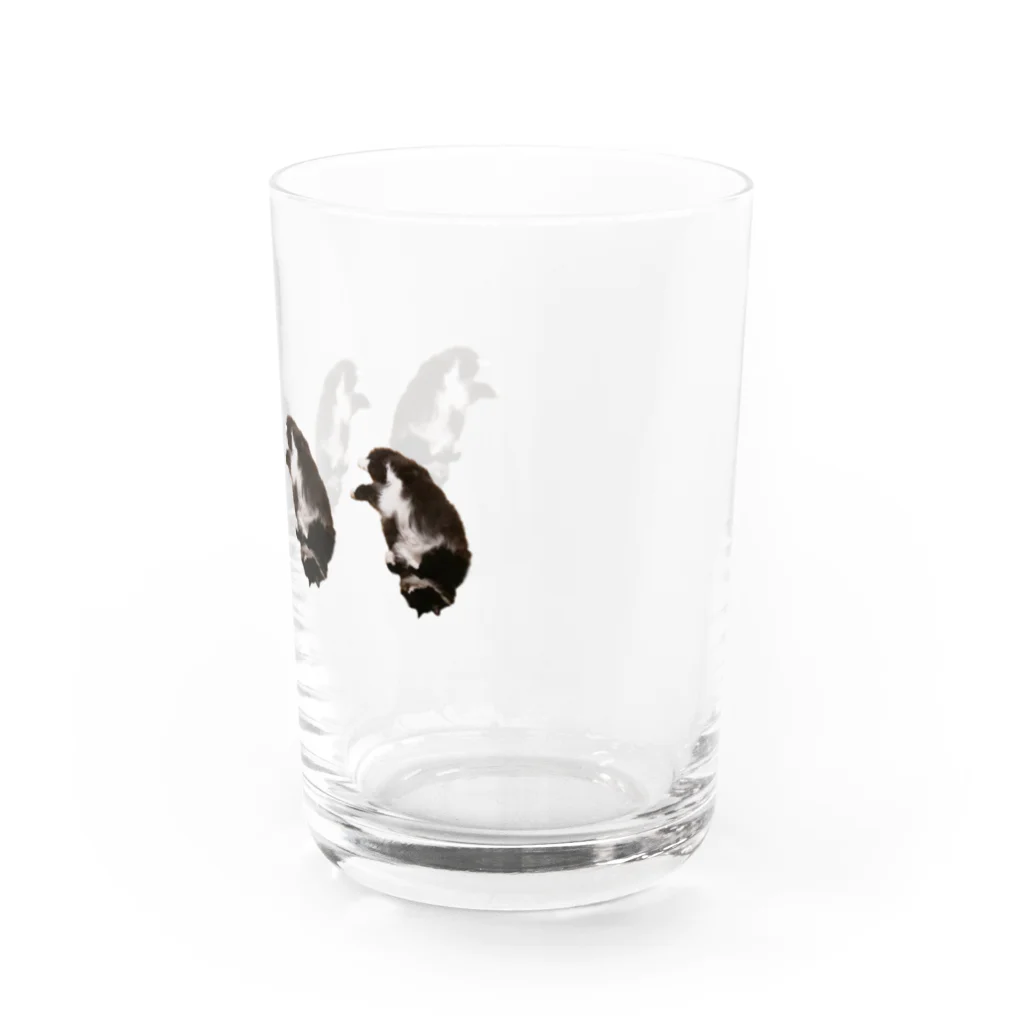 初代ラブリーキャットの並ぶ初代ラブリーキャット Water Glass :right