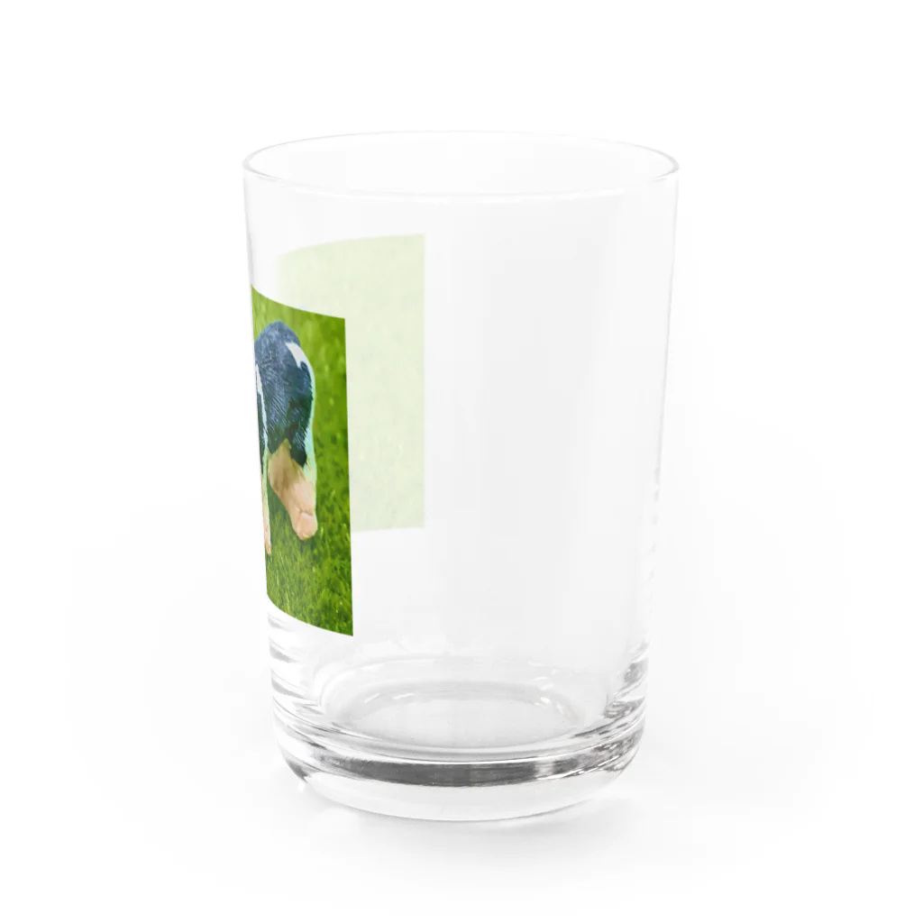 コナカマ通販SUZURI支店のCOW-2021 Water Glass :right