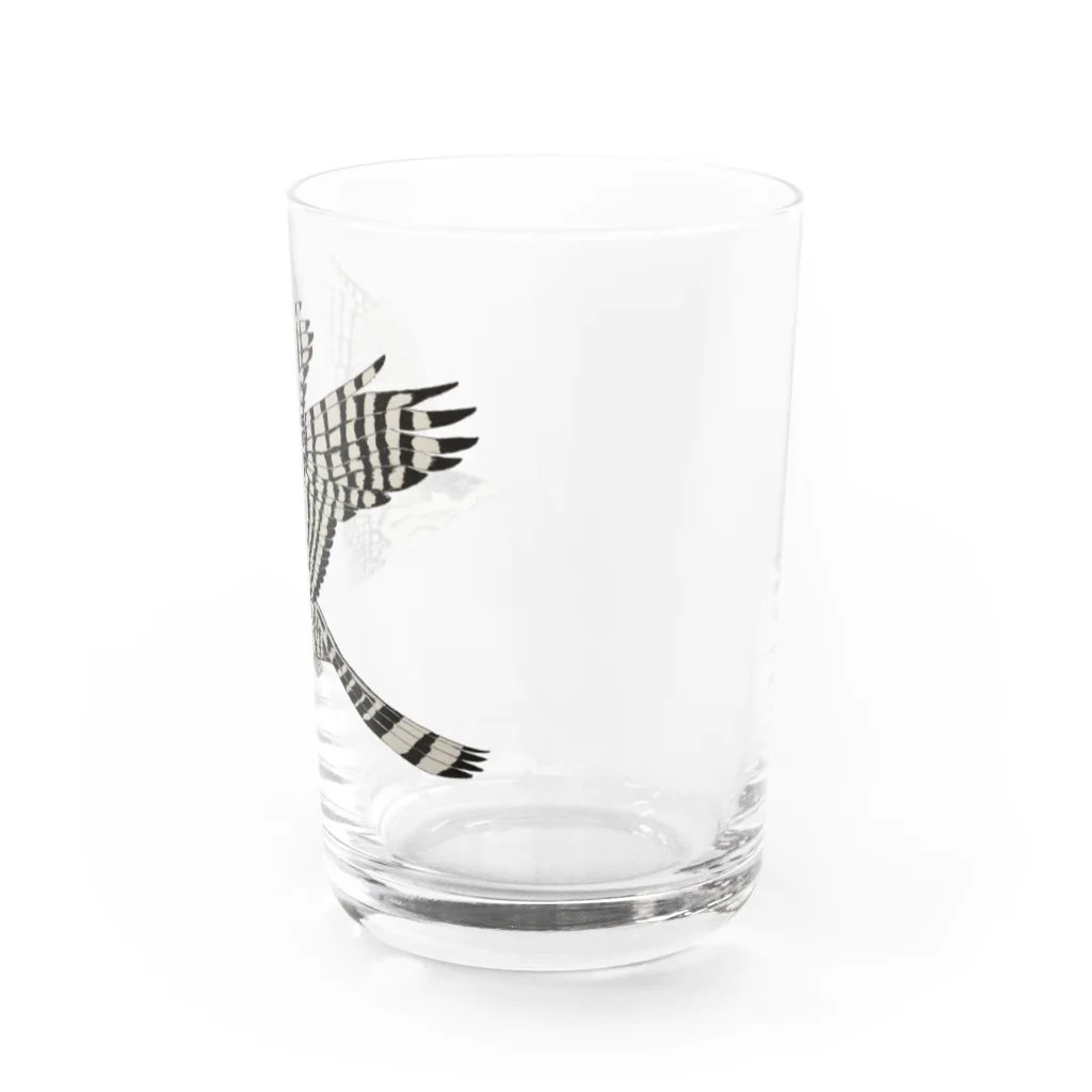 Coshi-Mild-Wildのクマタカ Water Glass :right