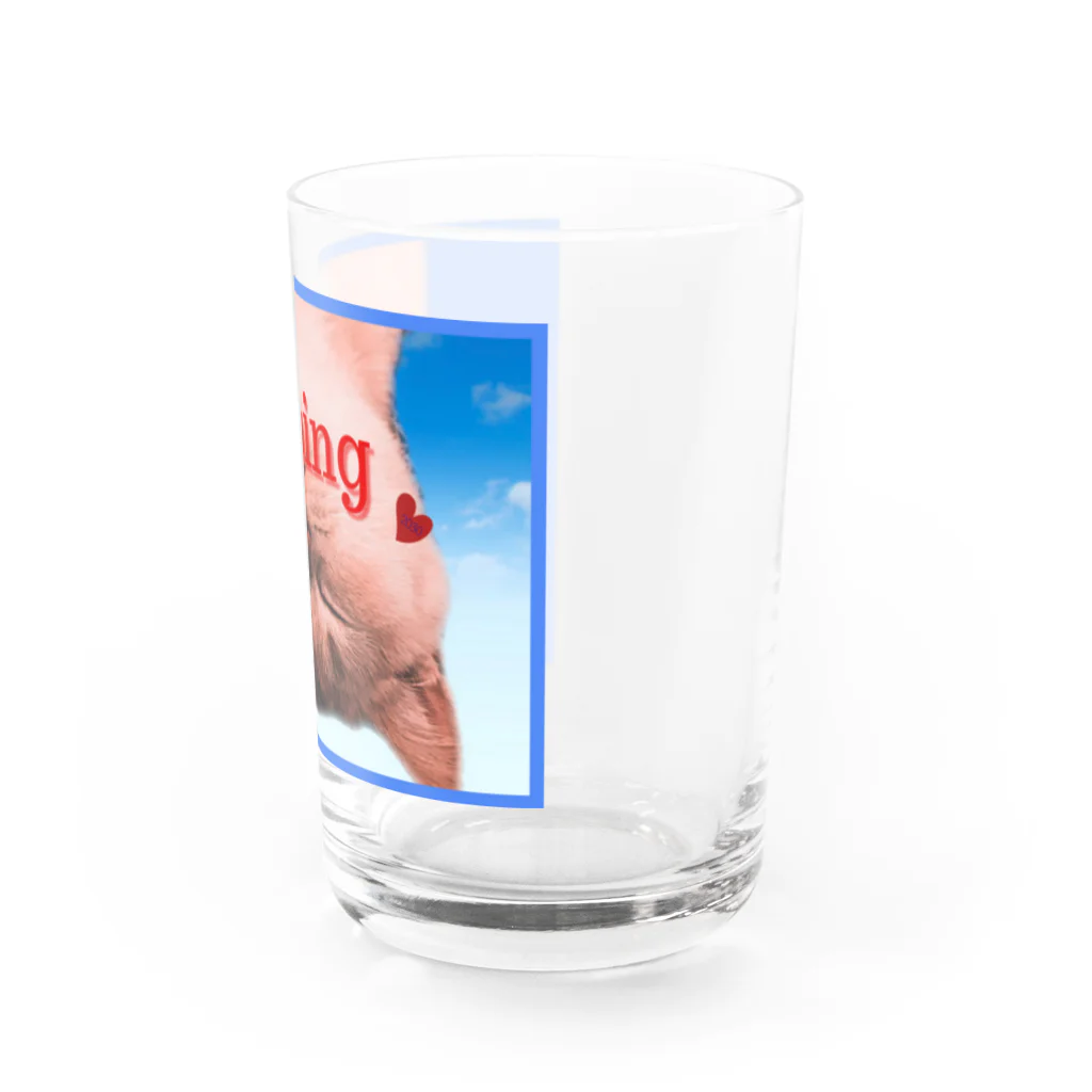 きなこ雑貨店のきなこ雑貨店 Water Glass :right