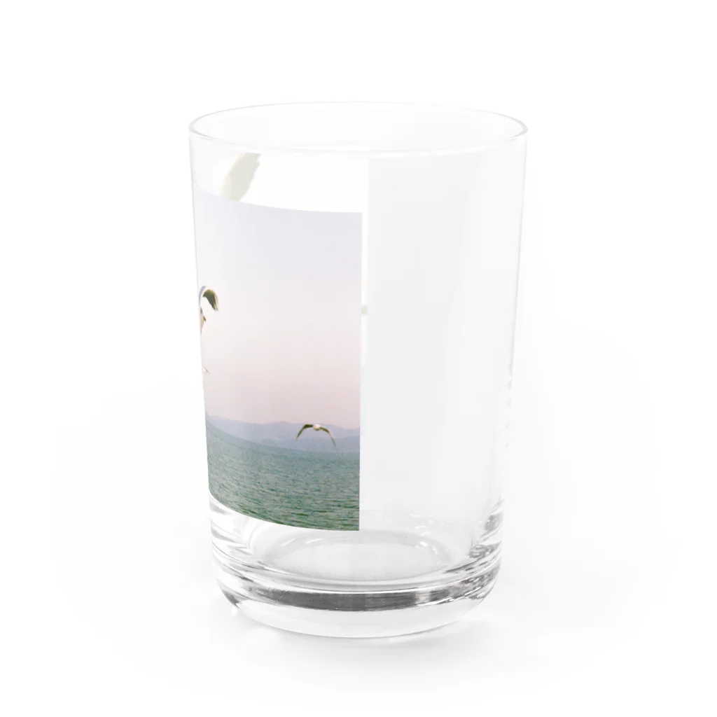 ふくだの鴎 Water Glass :right