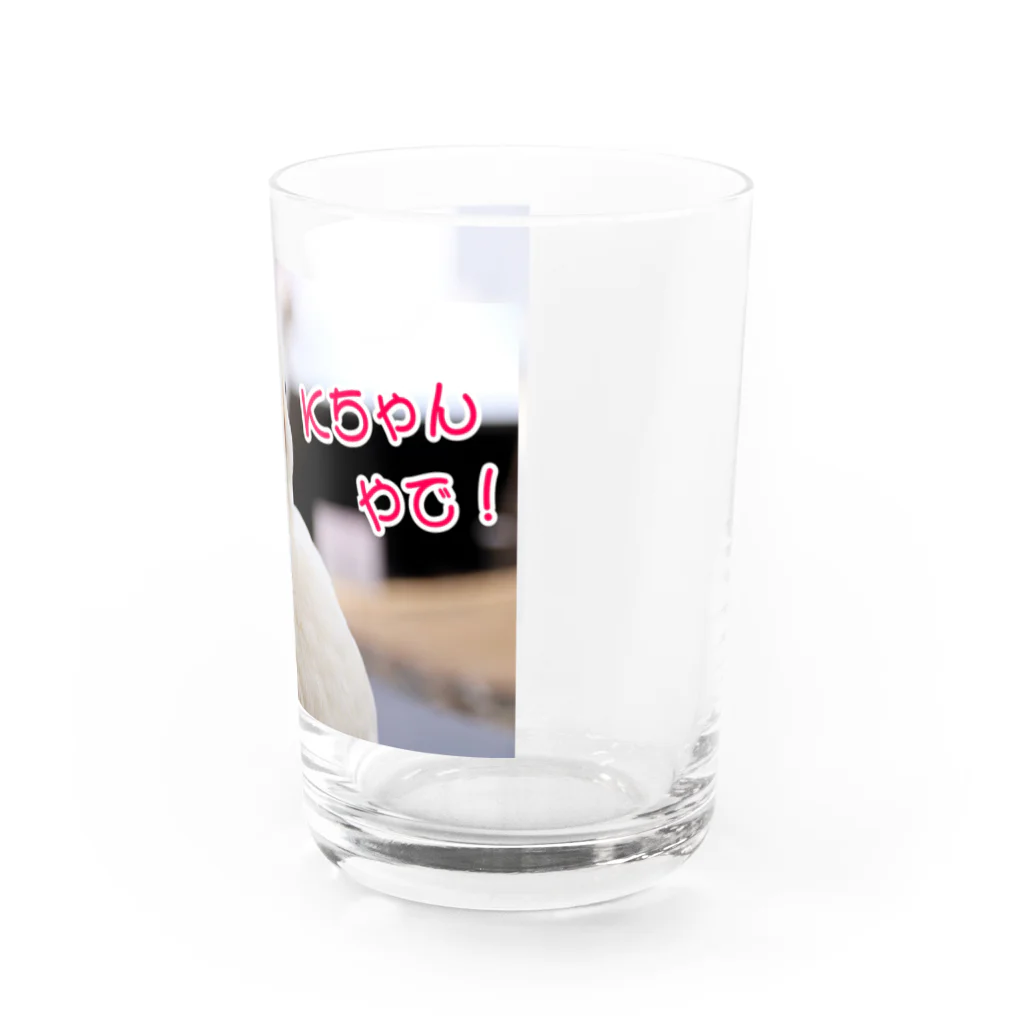 ❣️コールダックのKちゃん❣️のコールダックのKちゃんやで！② Water Glass :right