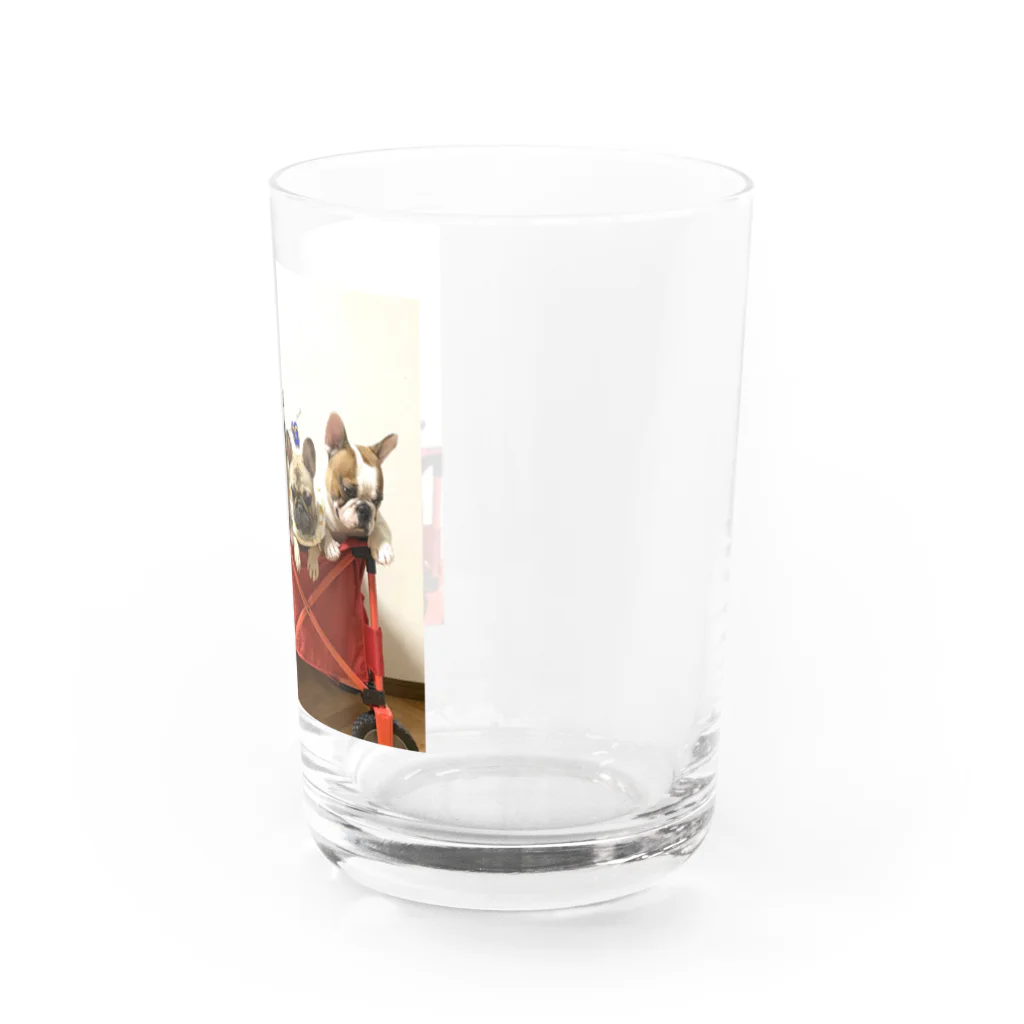 five bullsのフレンチブルドッグ  Water Glass :right