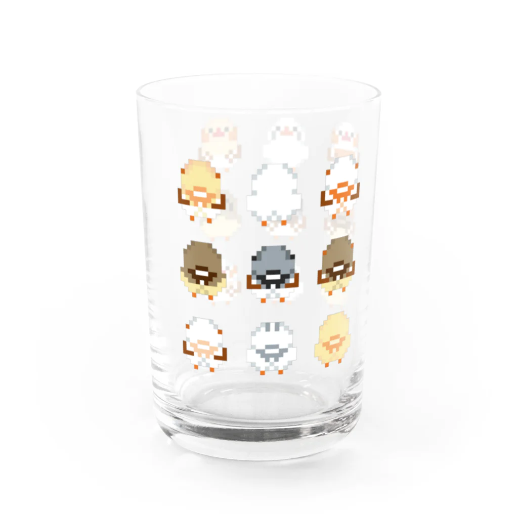 まっふるのドットキンカブラザーズ（前後） Water Glass :right