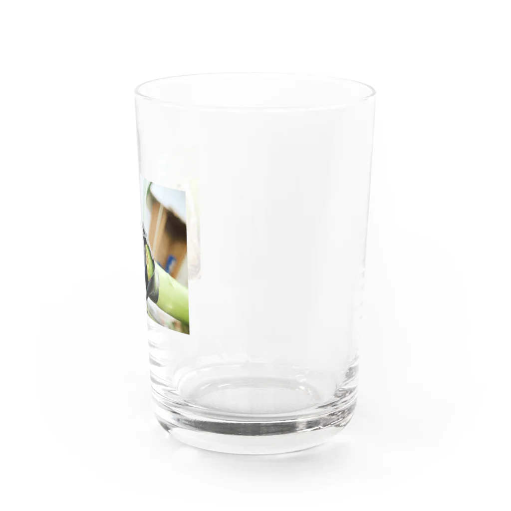 おてもとのかくれんぼ Water Glass :right