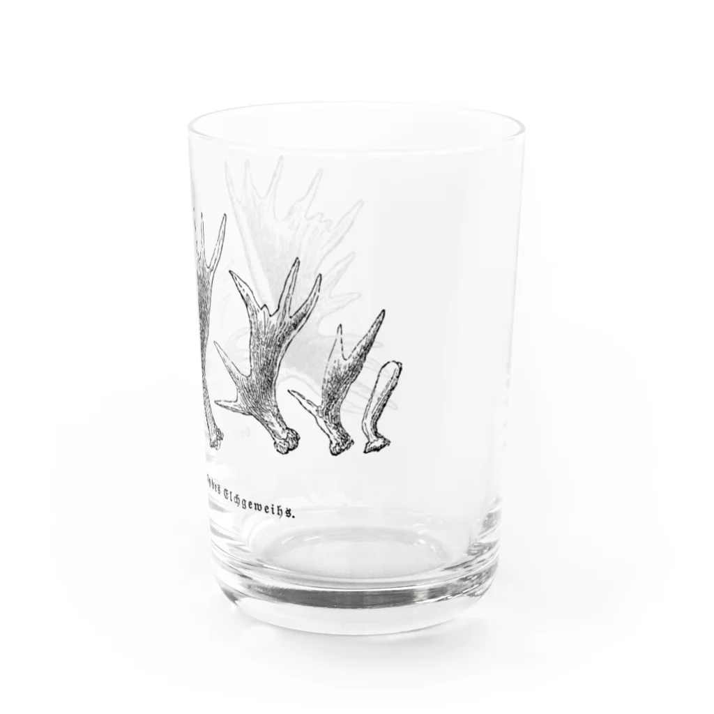 Expressgut602のヘラジカの角 Water Glass :right