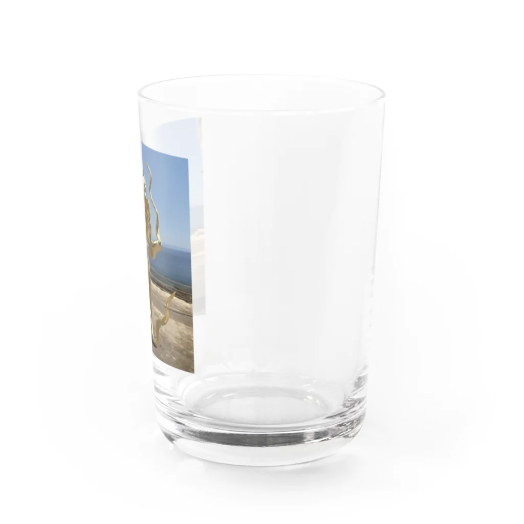 PINKMANのgorilla氏 Water Glass :right