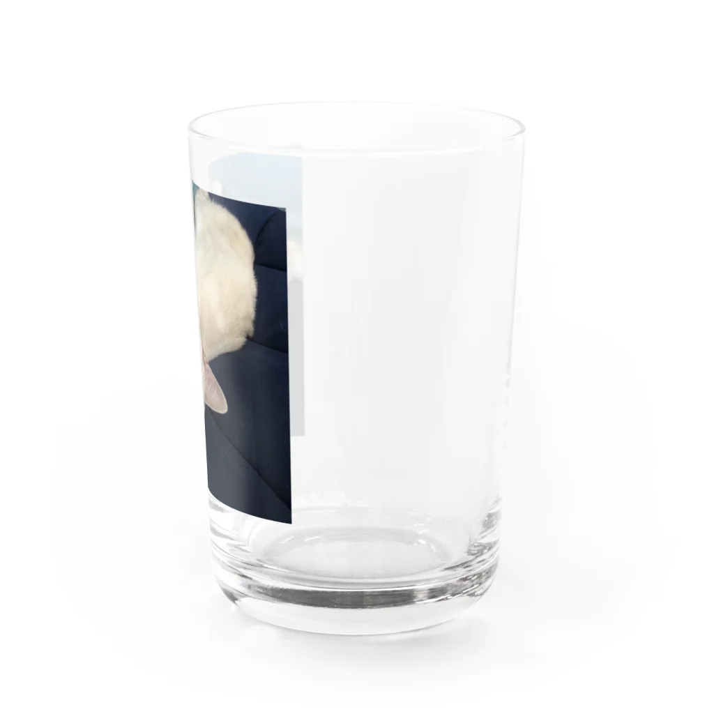 大福のだいちゃん Water Glass :right