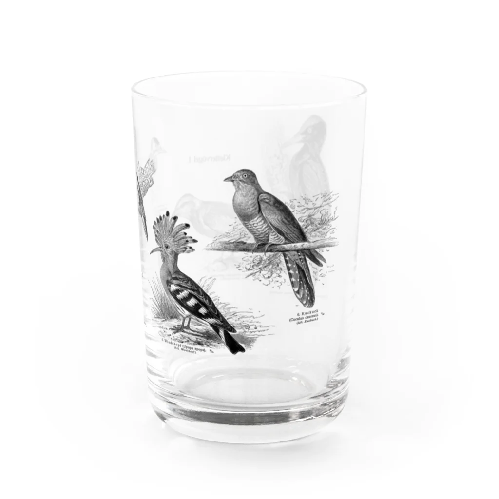 Expressgut602の樹上性鳥類1 Water Glass :right