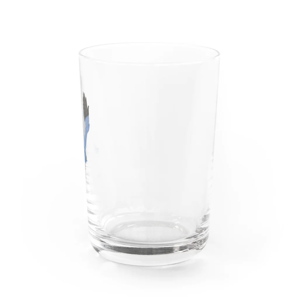 Coshi-Mild-Wildのハイイロチュウヒ Water Glass :right