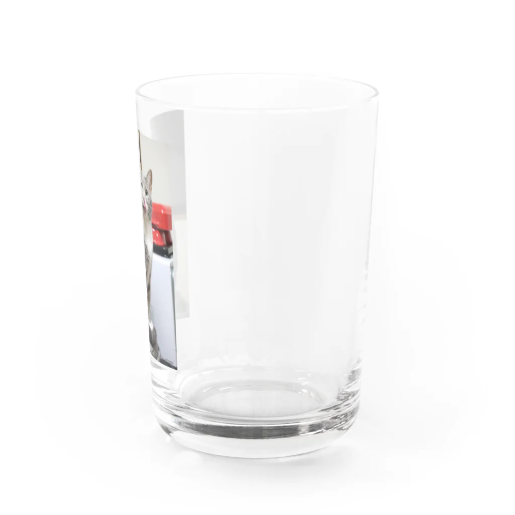 Aiko Nakanoの炊飯器は暖かいね Water Glass :right