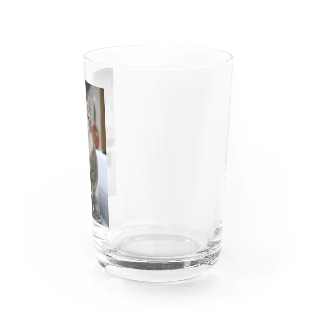 Aiko Nakanoの炊飯器に乗って何が悪いの？ Water Glass :right