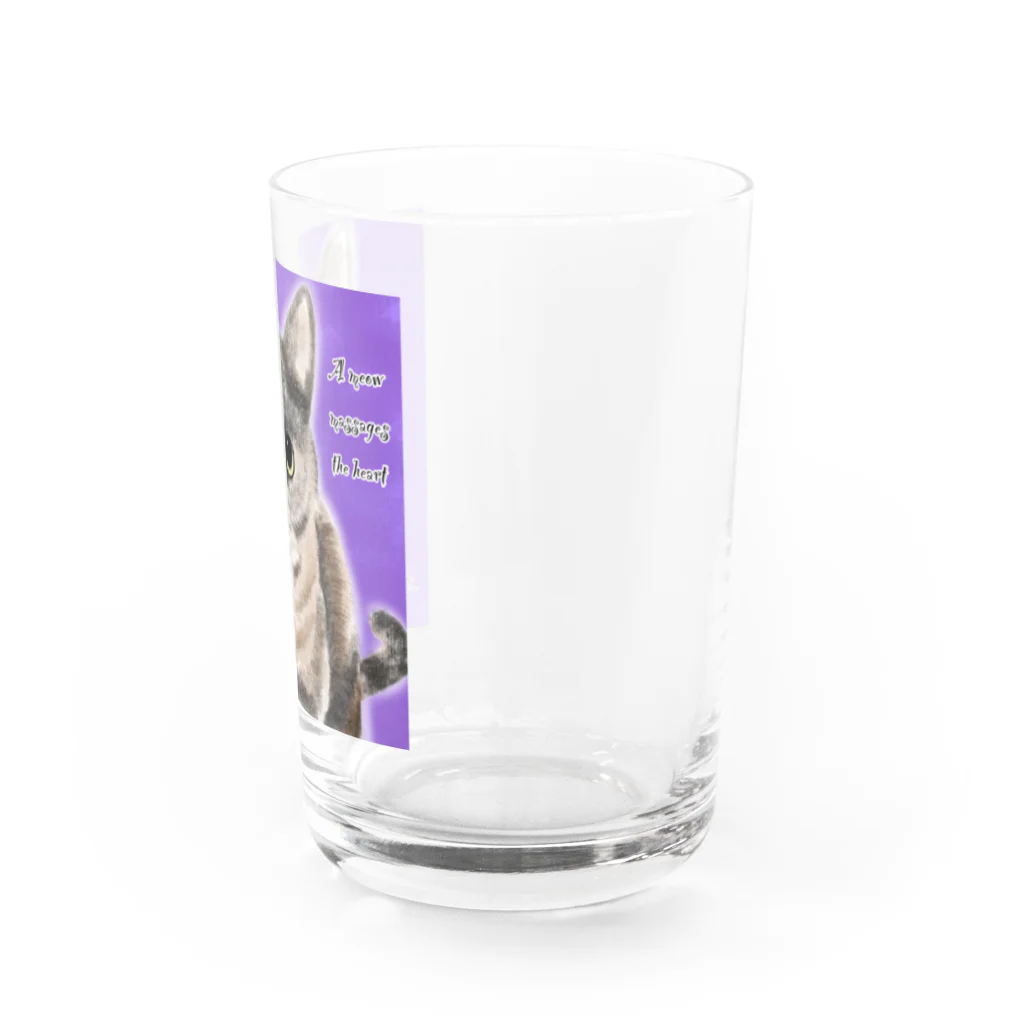 ひげ猫マリオのサビ猫 ムギちゃん Water Glass :right