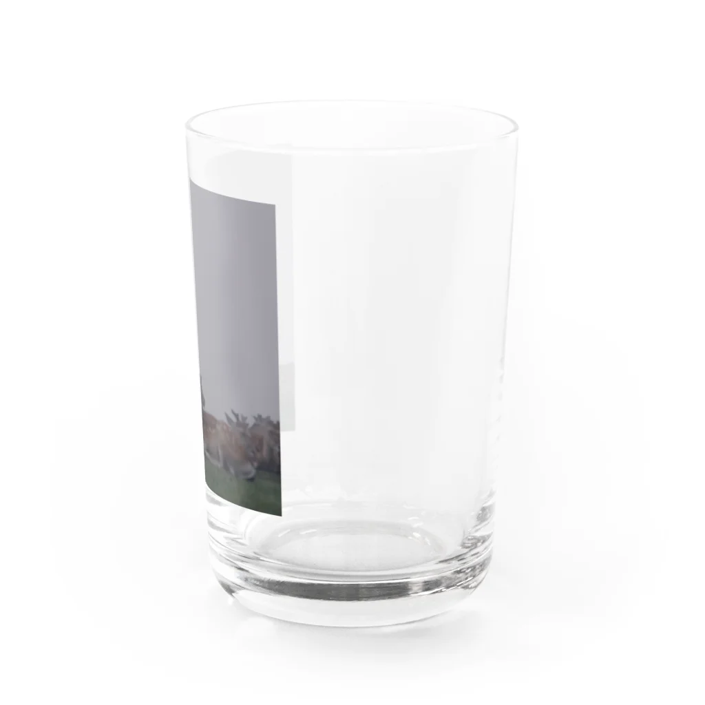 PORTONE, ART, LABORATORY.のFog and deer II Water Glass :right