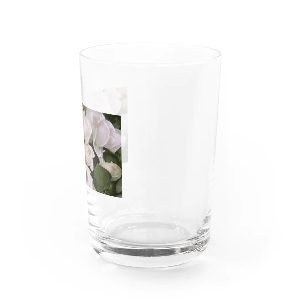 ゆい＠ymemilの白バラ Water Glass :right