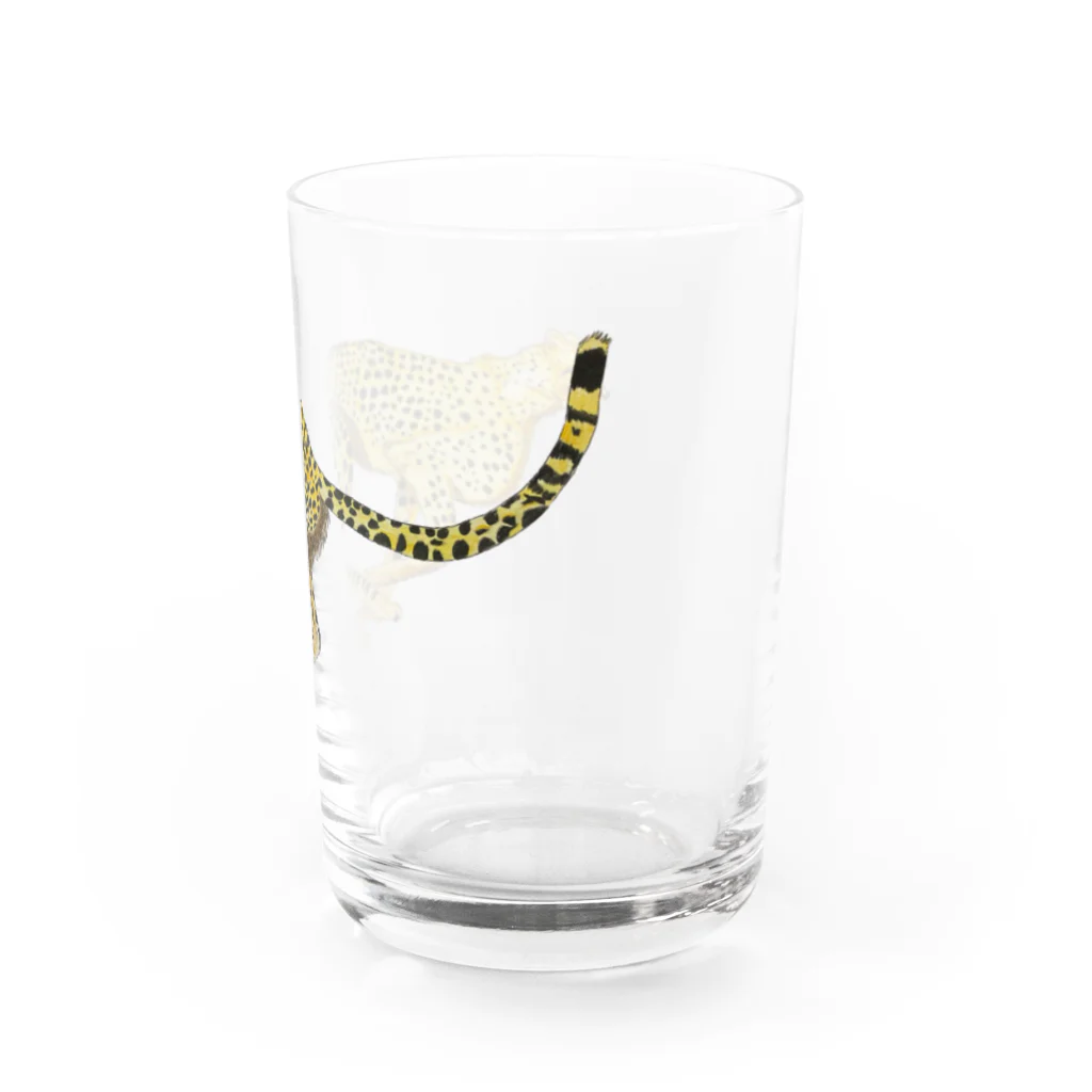 Coshi-Mild-Wildのチーター Water Glass :right