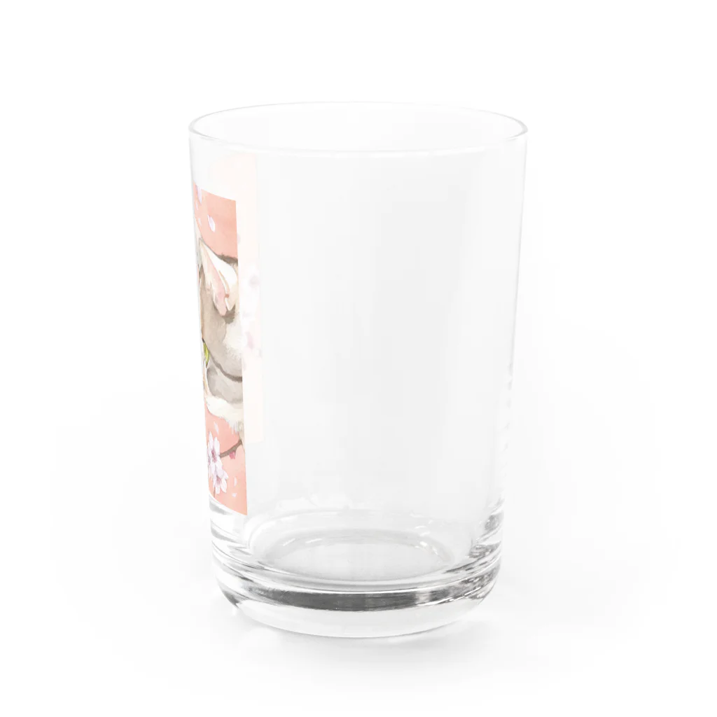 Miaws Shopの桜と三毛猫 Water Glass :right