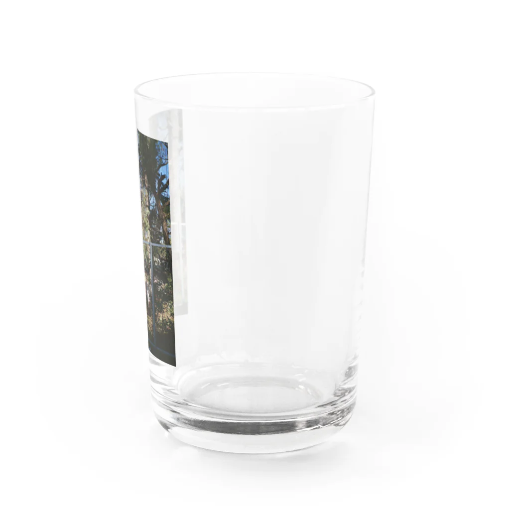 かわかみはるなのショップのとある日の正午 Water Glass :right