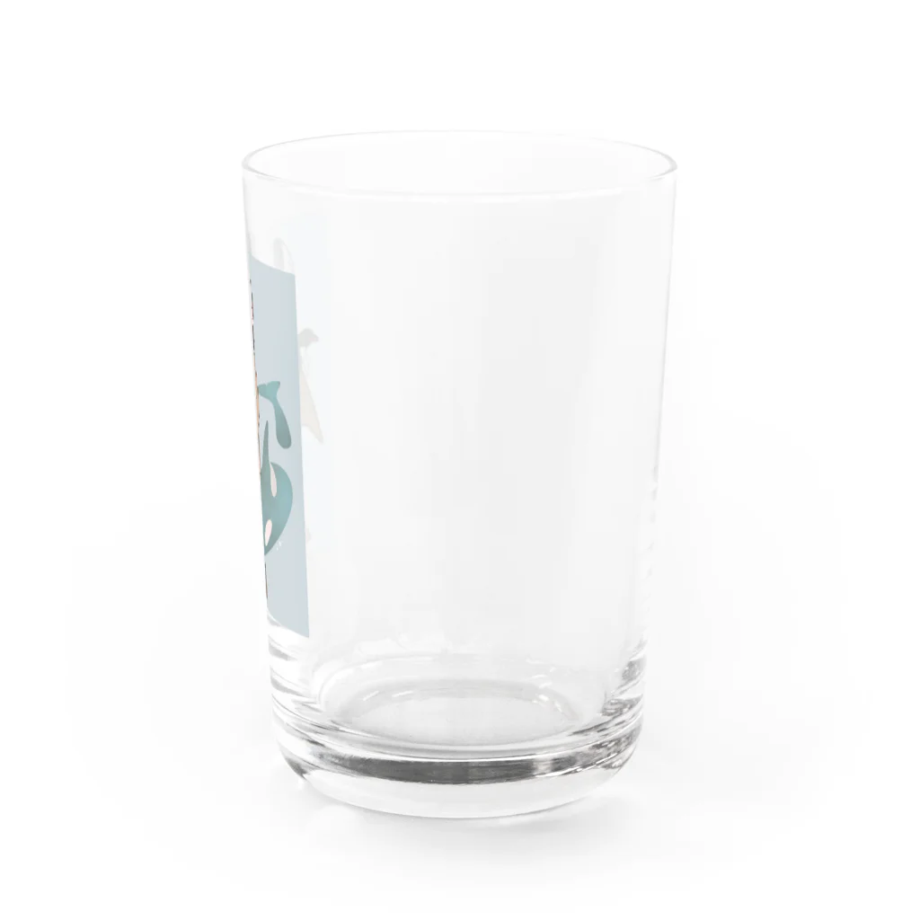 かしわめしのシャチさん Water Glass :right