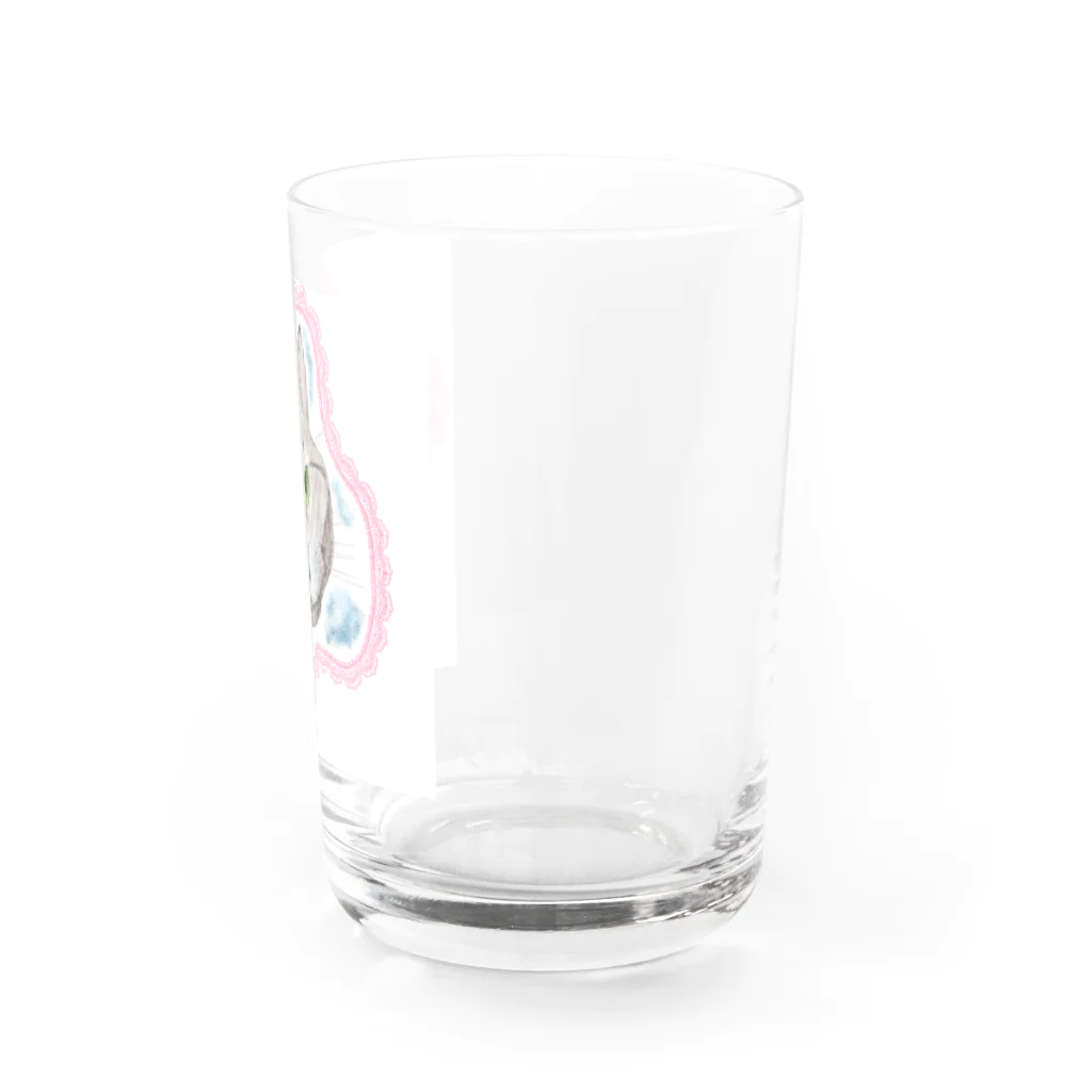 キジトラかもしれないの見つめるニャンコ Water Glass :right