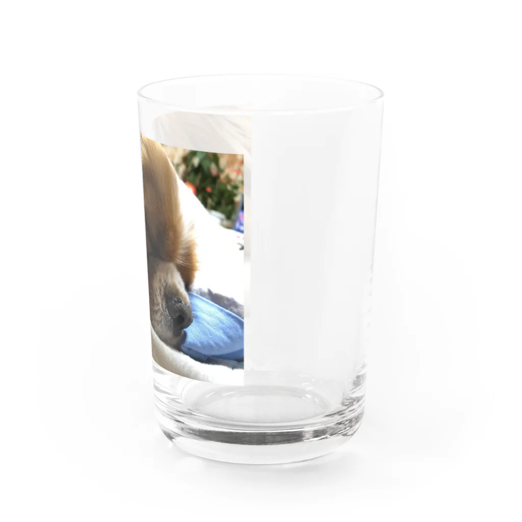 Furuの休みましょ Water Glass :right