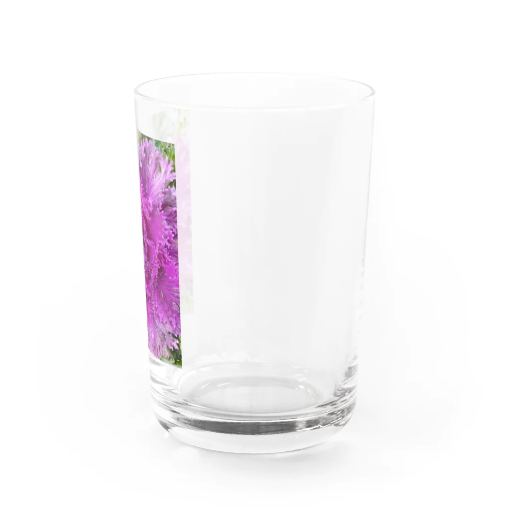 CHOTTOPOINTの【セール期間限定】 Water Glass :right