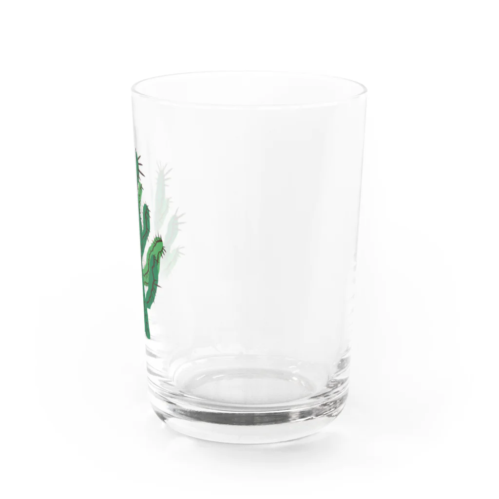 れなしやの渋かっこいい★多肉植物 Water Glass :right