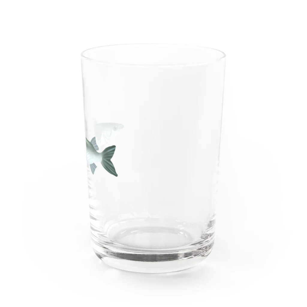 いくら丼のボラ Water Glass :right