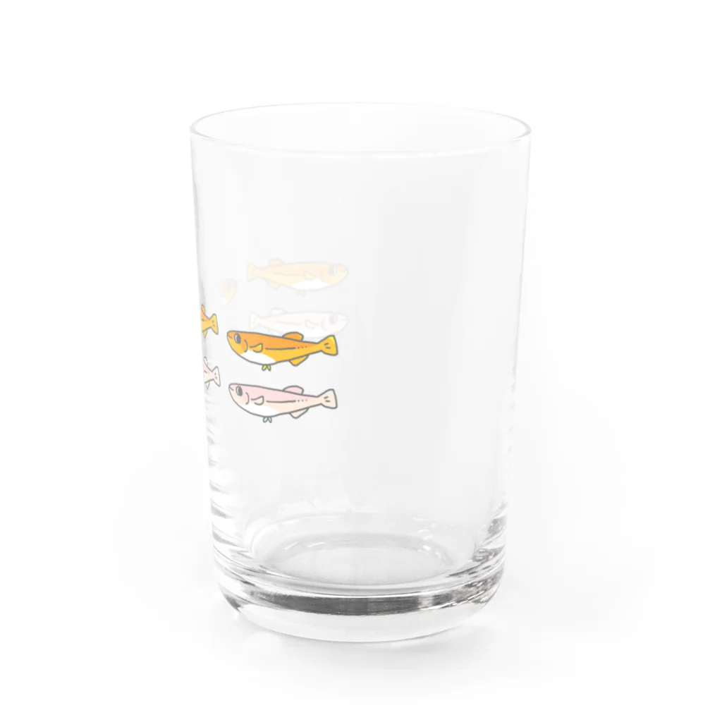 やわらか魚のめだか６匹 Water Glass :right