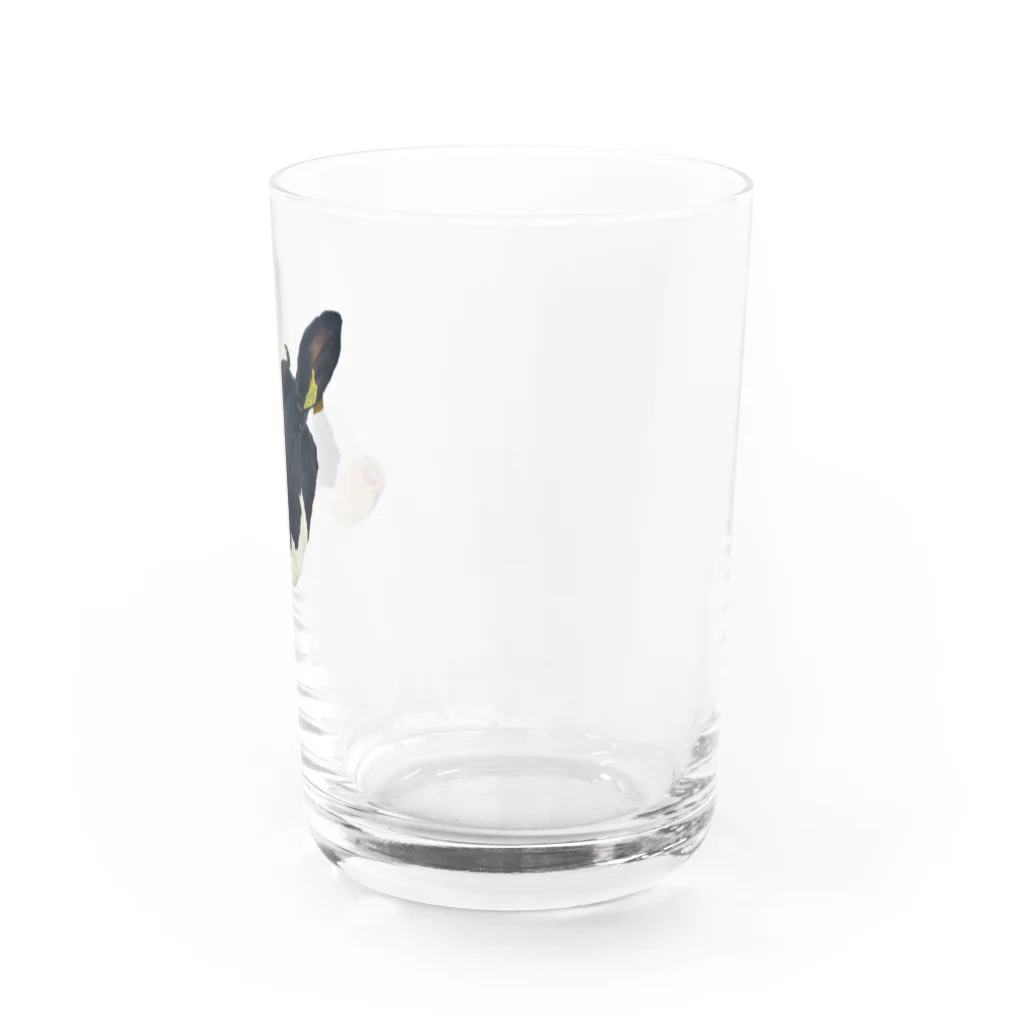 もみのきの私、カワハギ。生っぽい。 Water Glass :right