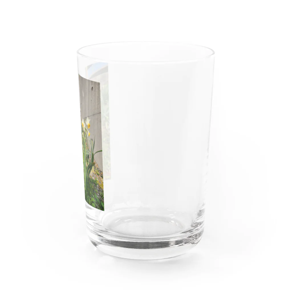 蓮華の春の足音 Water Glass :right