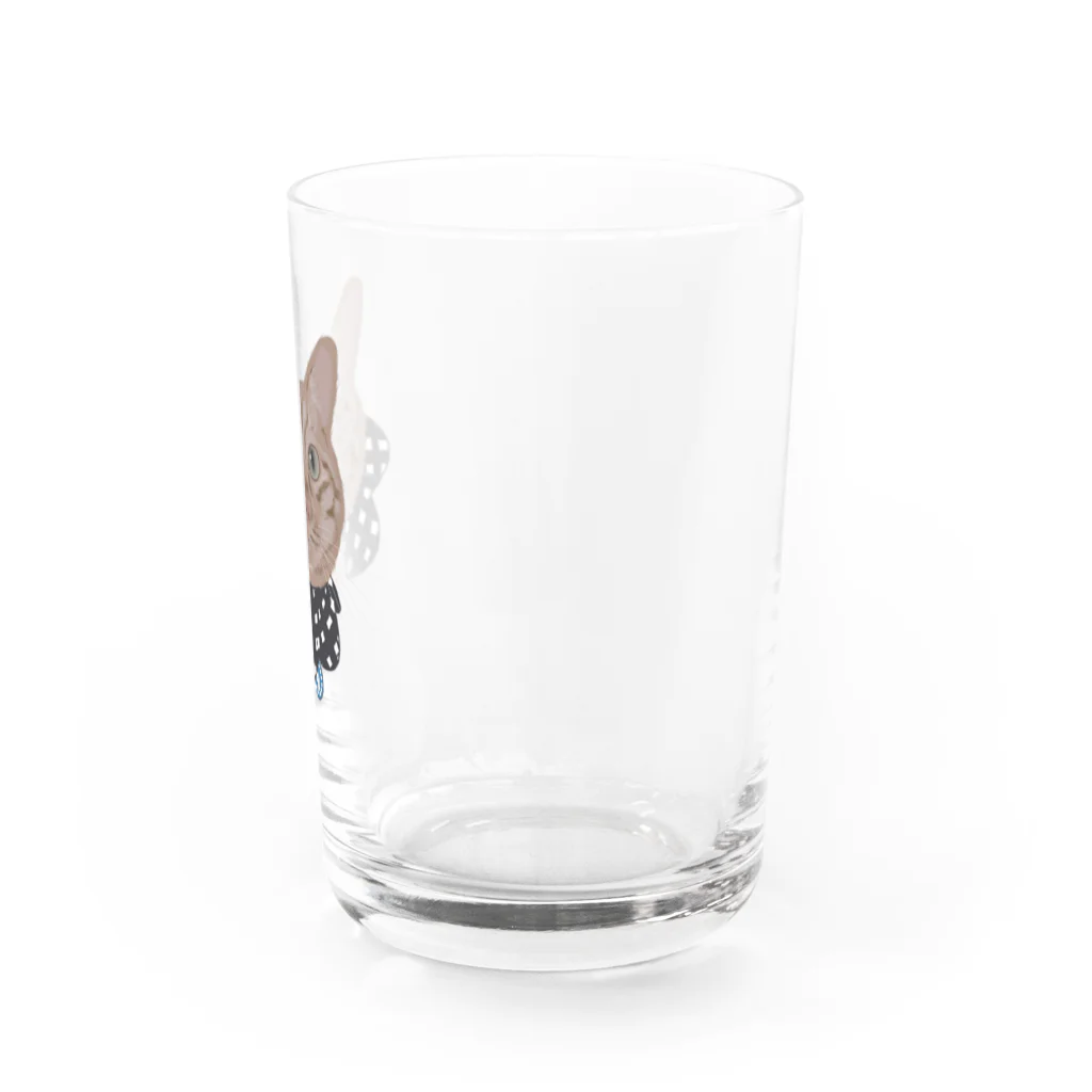 小鳥と映画館の茶トラ くぅちゃん ザビエルバージョン Water Glass :right