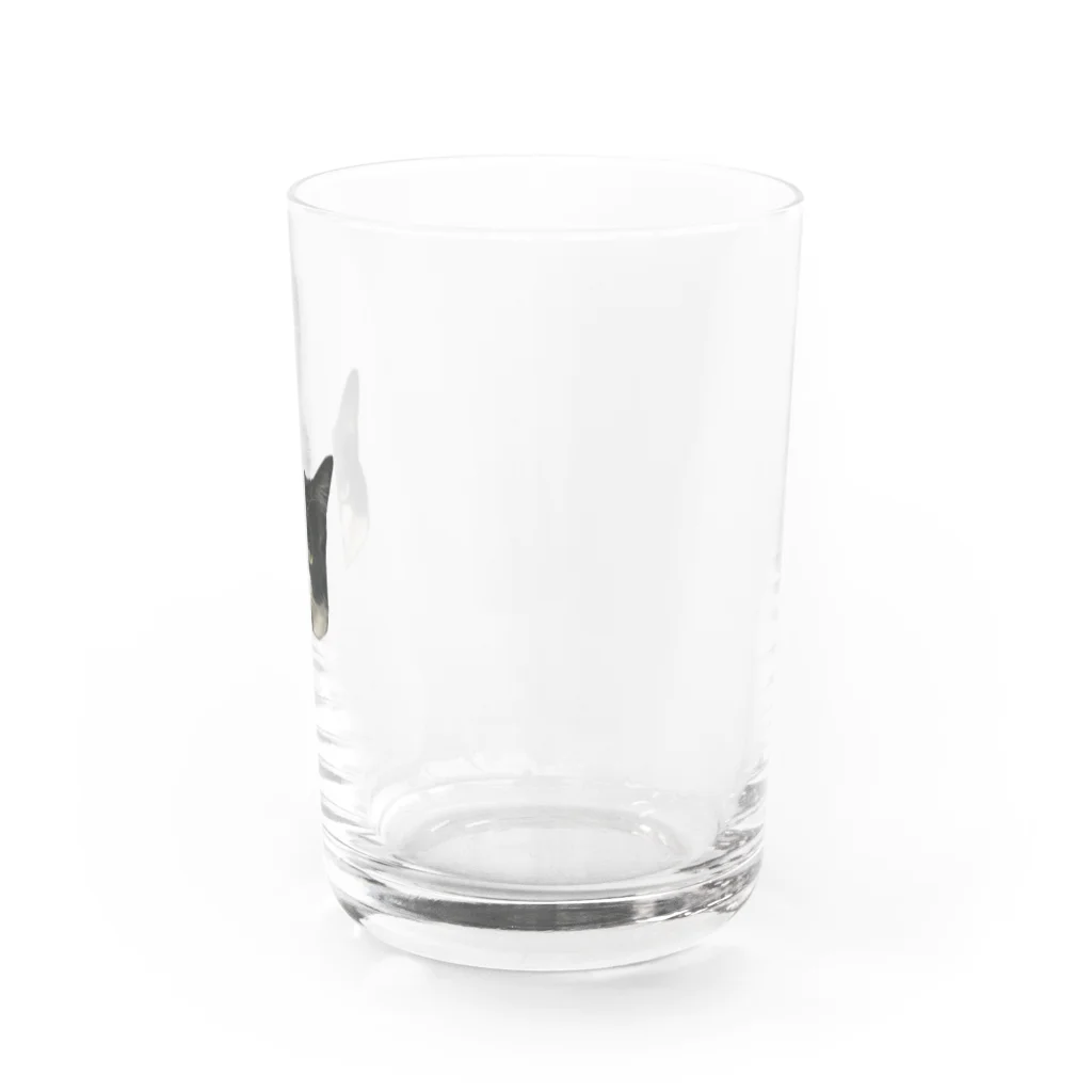happiness_maiのしかめ面の小豆 Water Glass :right