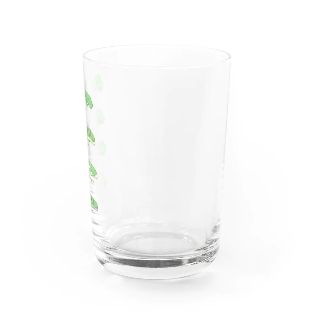 kitaooji shop SUZURI店のいもむしにっき　あげはちょう Water Glass :right