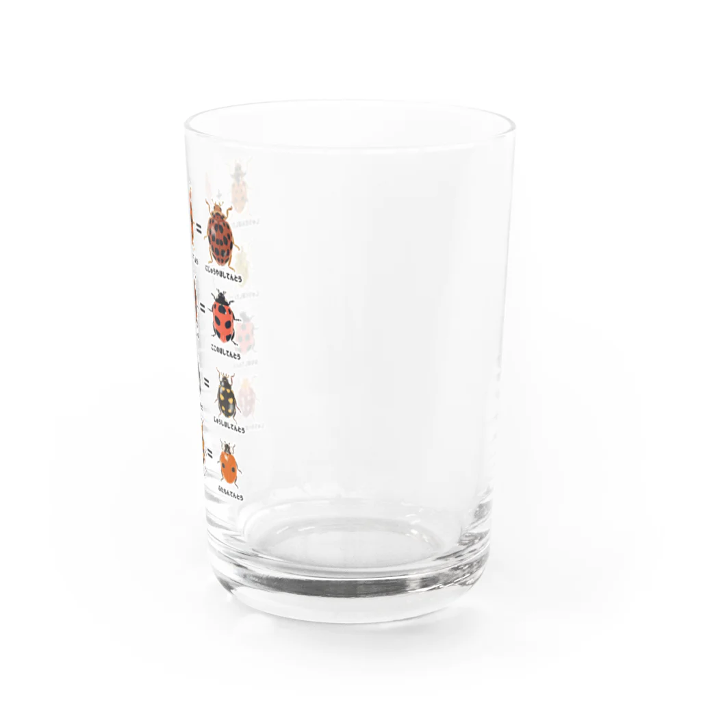 くいなの母のテントウムシ算数 Water Glass :right