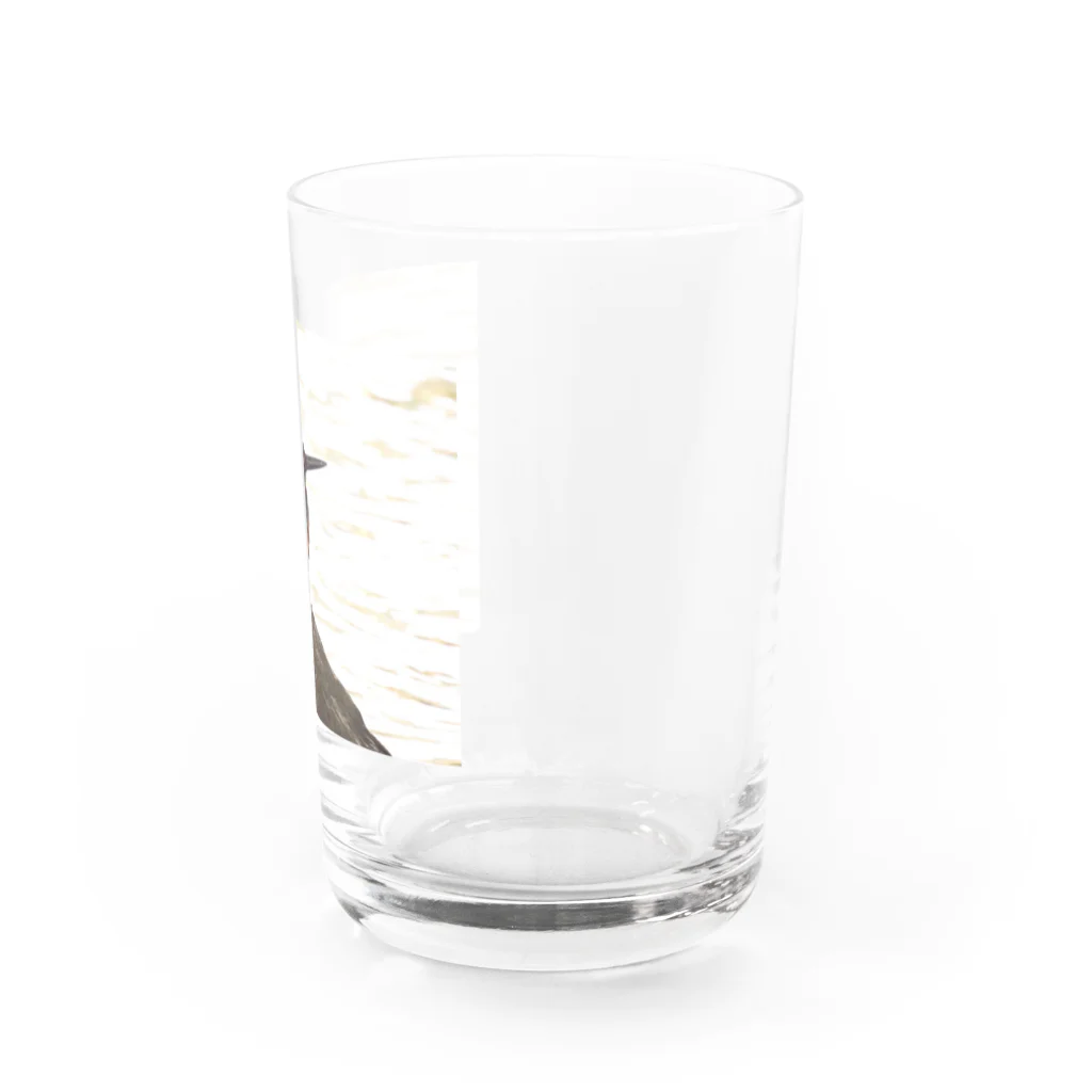 カワセミLOVEの石の上にもカワセミ Water Glass :right