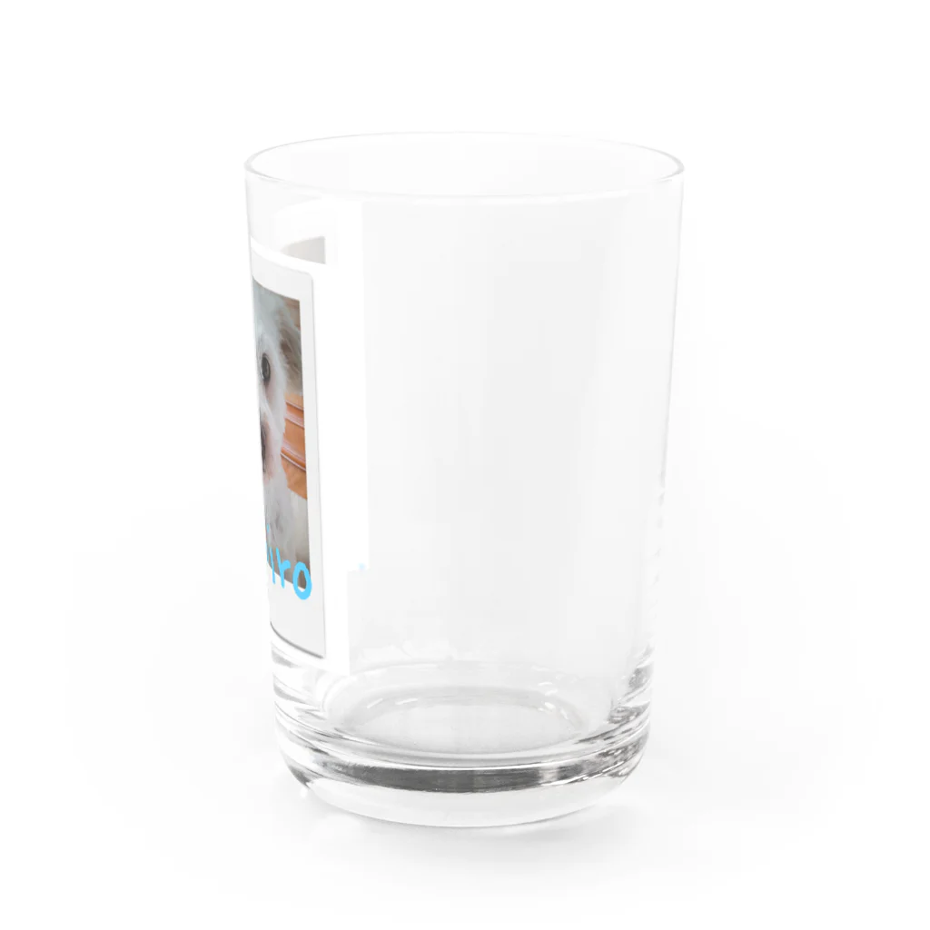 soyboy7のしろたん Water Glass :right