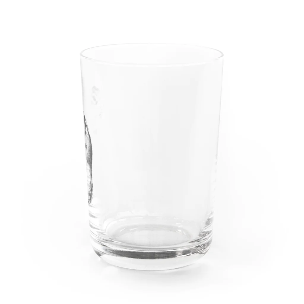 coco_chipmunkのモノクロシマリスシリーズ Water Glass :right