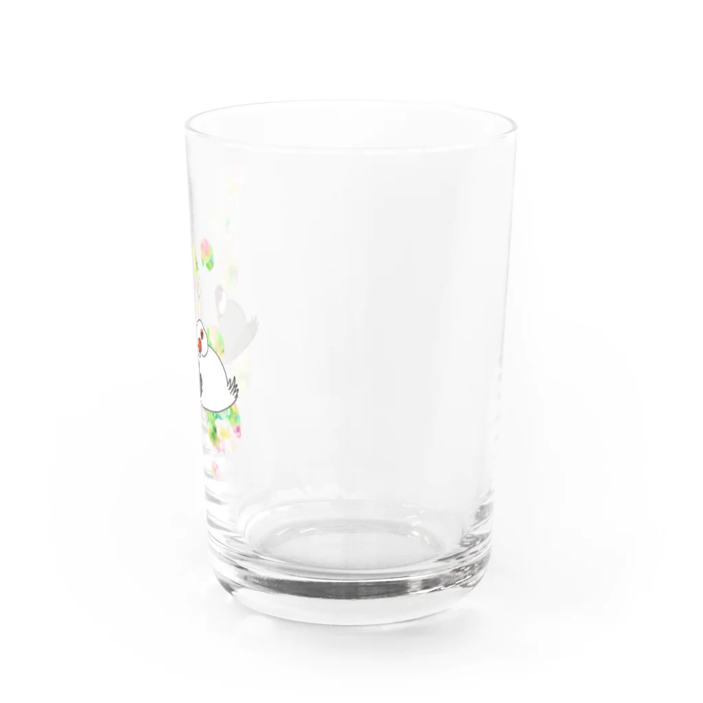 Lily bird（リリーバード）のとろける文鳥ず Water Glass :right