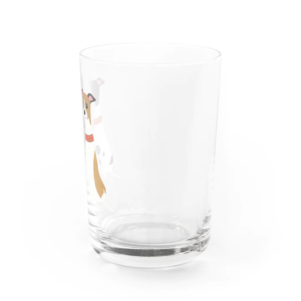 やたにまみこのema-emama『ウィペット』 Water Glass :right