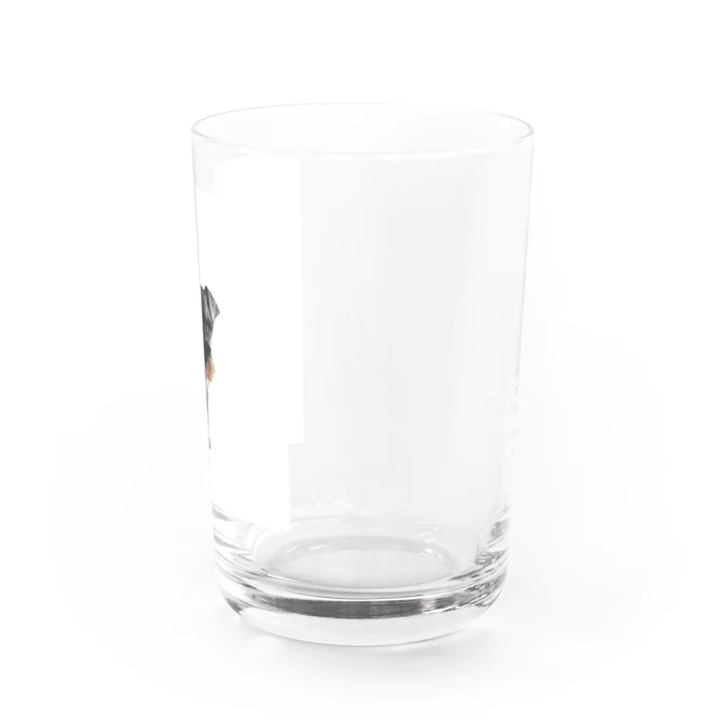 遊のミニチュアシュナウザー Water Glass :right