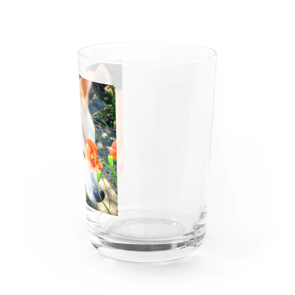 丸みの柴犬とお花 Water Glass :right