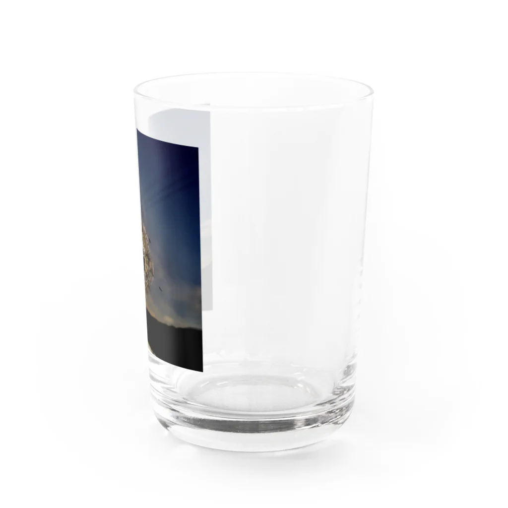 Oscarのわた毛 Water Glass :right