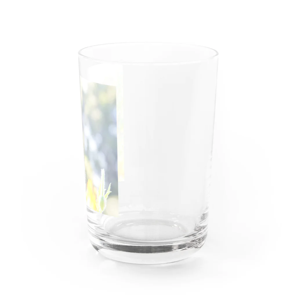 cloudlandのきらきらポピー Water Glass :right